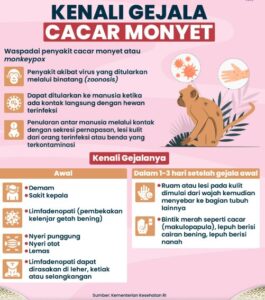 cacar monyet