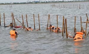 Pembongkaran Pagar Laut