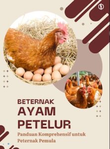 Ayam Petelur